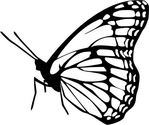 (s024-3-1E) Butterfly