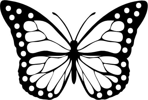 (s024-3-1F) Butterfly