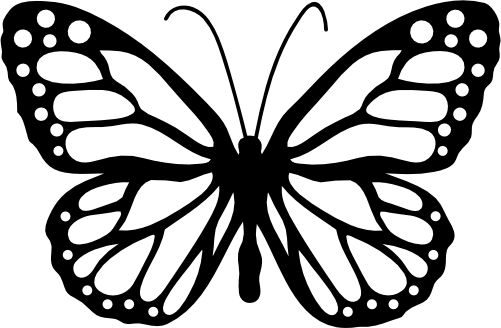 (s024-3-1G) Butterfly
