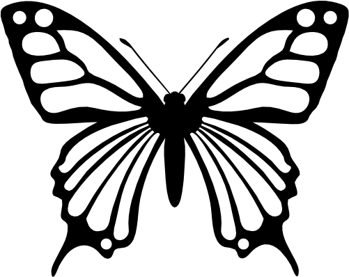 (s024-3-1H) Butterfly