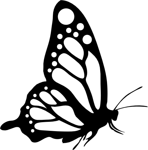 (s024-3-1J) Butterfly