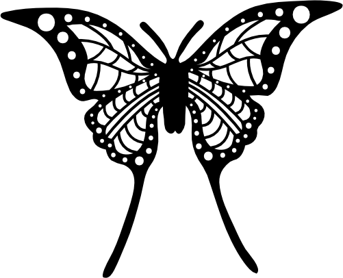 (s024-3-1K) Butterfly