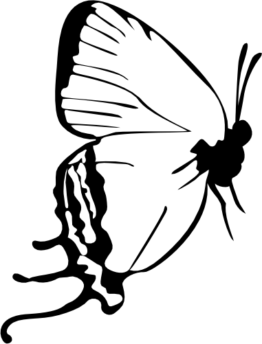 (s024-3-1L) Butterfly