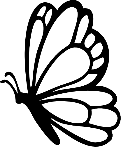 (s024-3-1O) Butterfly