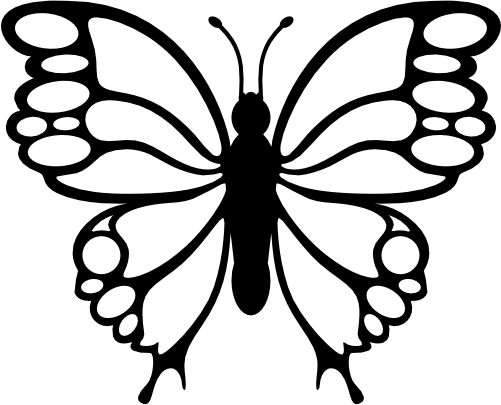 (s024-3-1P) Butterfly