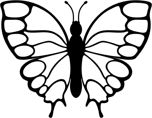 (s024-3-1Q) Butterfly