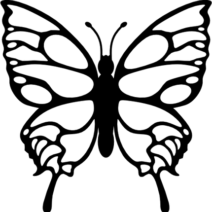 (s024-3-1R) Butterfly