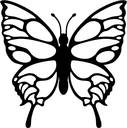 (s024-3-1R) Butterfly