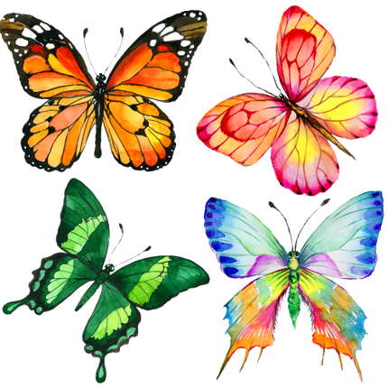 (s024-G1) Set of 4 Watercolor Butterflies
