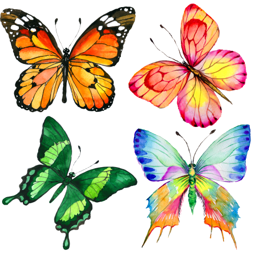 (s024-G1) Set of 4 Watercolor Butterflies