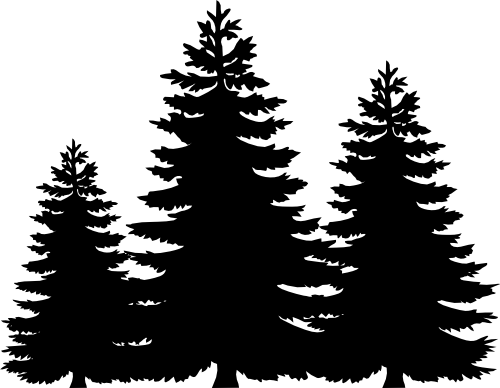 (251-B) Pine Tree Trees Silhouette