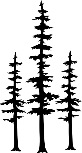 (251-C) Pine Tree Iron-On Transfer