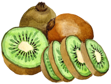 (s253-4-2) Watercolor Kiwi