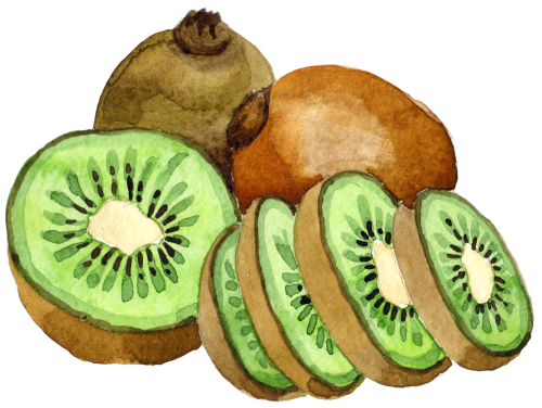 (s253-4-2) Watercolor Kiwi