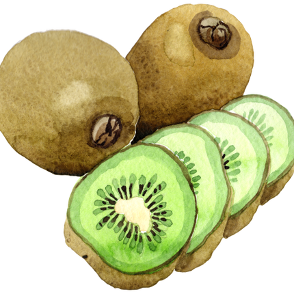 (s253-4-2) Watercolor Kiwi