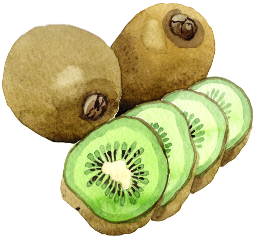 (s253-4-2) Watercolor Kiwi