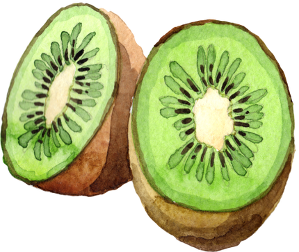 (s253-4-2) Watercolor Kiwi