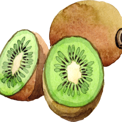 (s253-4-2) Watercolor Kiwi