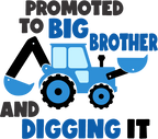 (259-02-D) Blue Construction