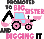 (259-02-D) Pink Construction