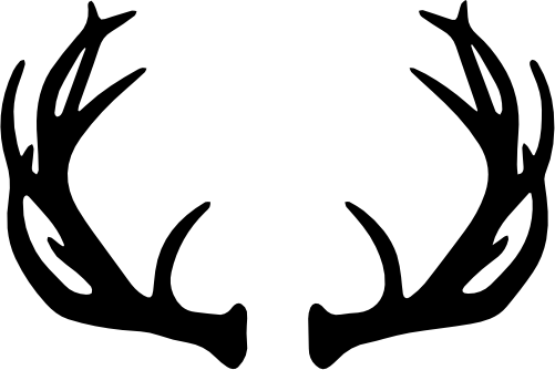 (s026-1-B) Deer Antlers