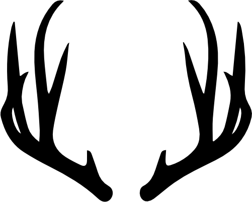 (s026-1-C) Deer Antlers