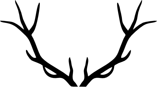 (s026-1-E) Deer Antlers