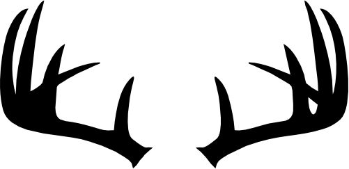 (s026-1-F) Deer Antlers