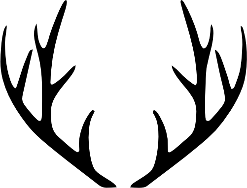 (s026-1-G) Deer Antlers