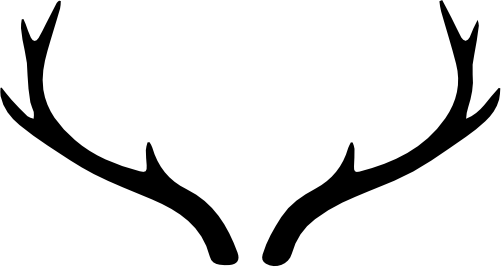 (s026-1-K) Deer Antlers