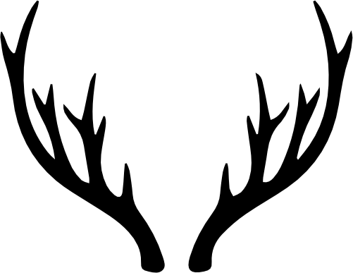 (s026-1-L) Deer Antlers