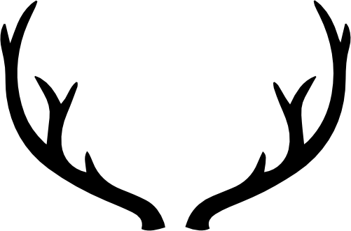 (s026-1-M) Deer Antlers