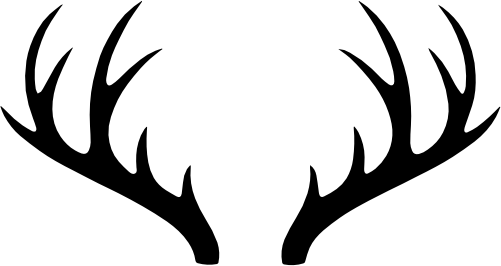 (s026-1-O) Deer Antlers