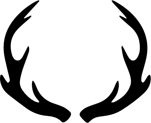 (s026-1-P) Deer Antlers