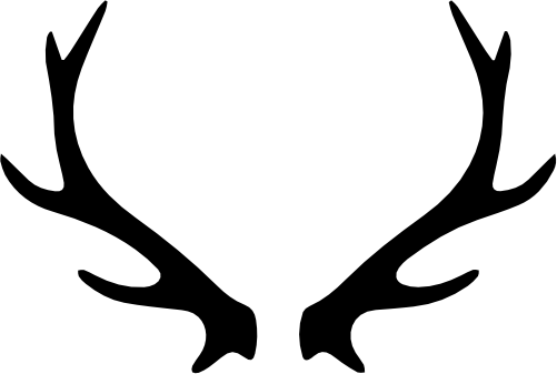 (s026-1-Q) Deer Antlers