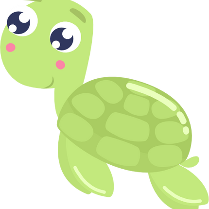 (s265-1P) Turtle