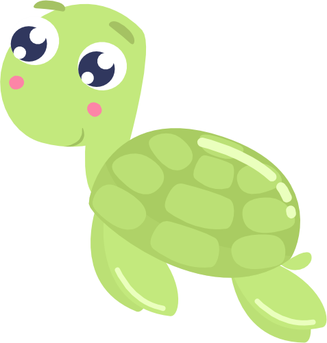 (s265-1P) Turtle