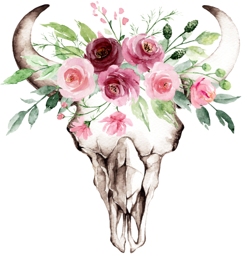 (s267-3-A) Cow Skull Pink Burgundy Roses