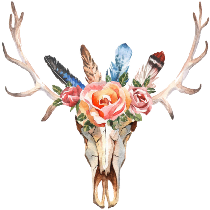 (s268-A) Cow Skull Roses Feathers
