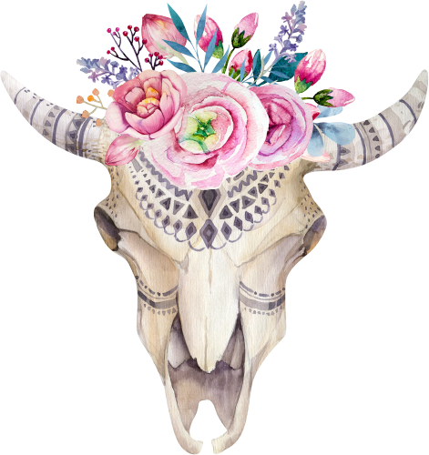(s268-D) Cow Skull Flowers