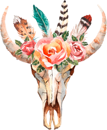 (s268-E) Cow Skull Roses Feathers