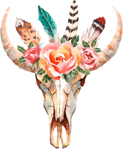 (s268-E) Cow Skull Roses Feathers