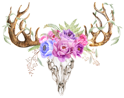 (s268-F) Cow Skull Deer Antlers Peonies