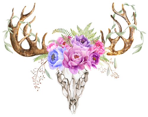 (s268-F) Cow Skull Deer Antlers Peonies