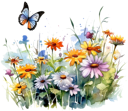 (s272-2-2E) Wildflowers