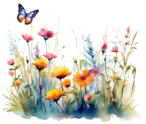 (s272-2-2F) Wildflowers