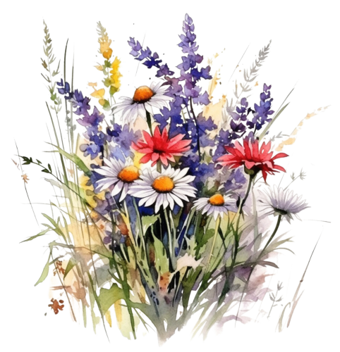 (s272-2-2G) Wildflowers