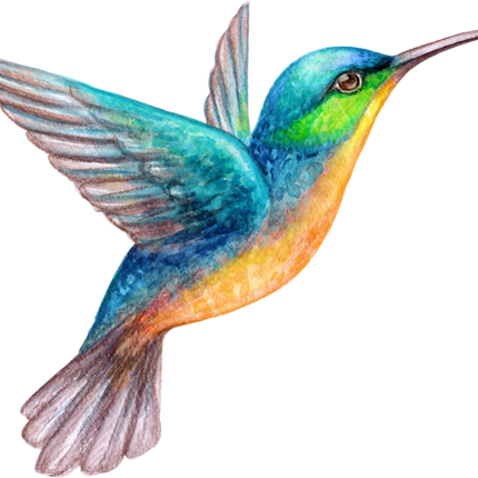 (s274-E) Hummingbird