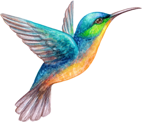 (s274-E) Hummingbird
