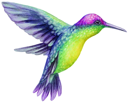 (s274-I) Hummingbird